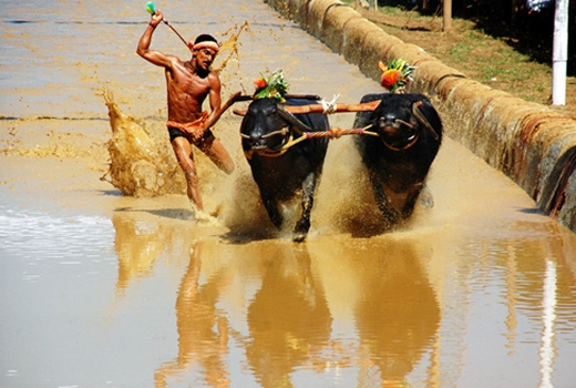 Kambala